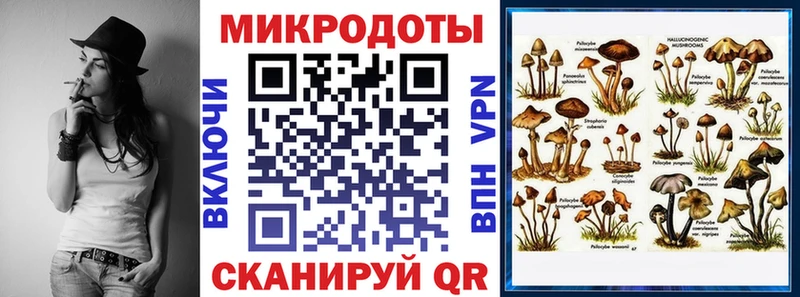 это телеграм  Анадырь  Псилоцибиновые грибы мицелий 