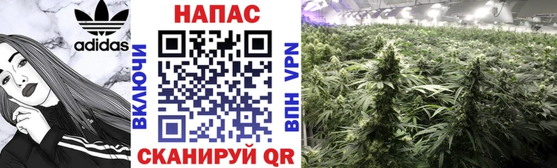 Бошки Шишки Amnesia  hydra рабочий сайт  Анадырь 
